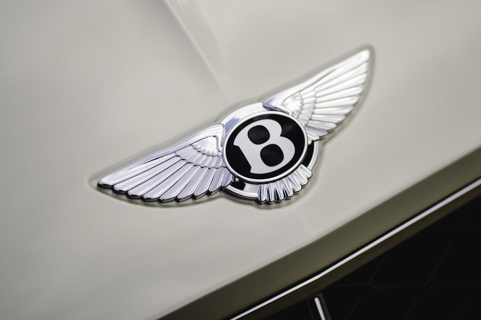 Bentley winged B badge on white bodywork