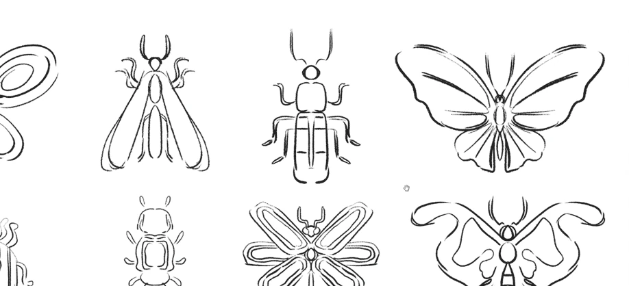 A grid of hand-drawn bug and butterfly studies